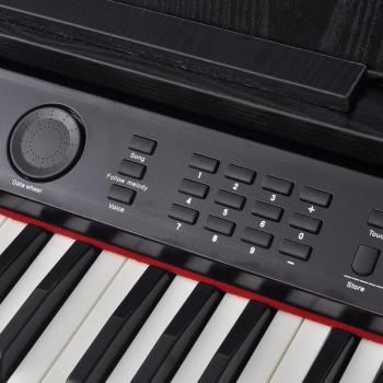 Digitalpiano mit 88 Tasten und Pedalen Schwarz Melaminplatte  