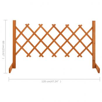 Garten-Rankzaun Orange 120x60 cm Massivholz Tanne