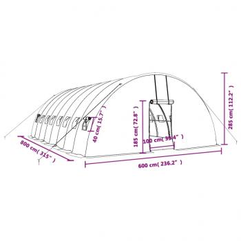 Gewächshaus mit Stahlrahmen Weiß 48 m² 8x6x2,85 m