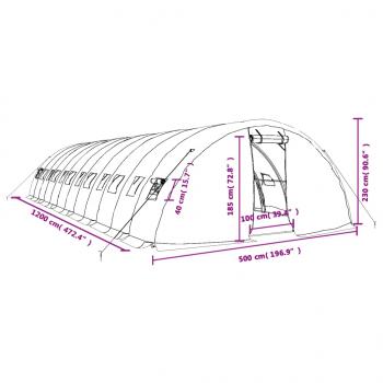 Gewächshaus mit Stahlrahmen Grün 60 m² 12x5x2,3 m