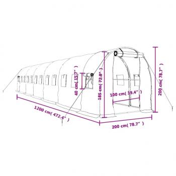 Gewächshaus mit Stahlrahmen Weiß 24 m² 12x2x2 m