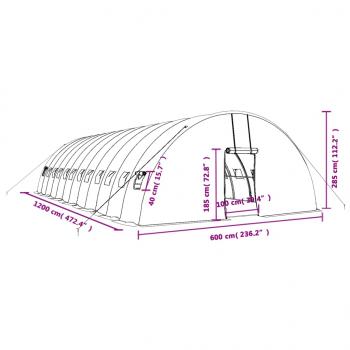 Gewächshaus mit Stahlrahmen Grün 72 m² 12x6x2,85 m