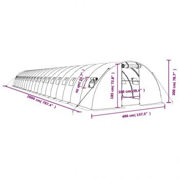 Gewächshaus mit Stahlrahmen Weiß 80 m² 20x4x2 m