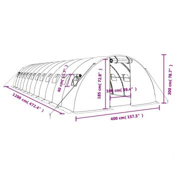 Gewächshaus mit Stahlrahmen Grün 48 m² 12x4x2 m