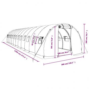 Gewächshaus mit Stahlrahmen Grün 36 m² 12x3x2 m