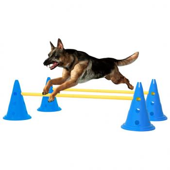 ARDEBO.de - Agility Hundetraining Hindernis-Set Blau und Gelb