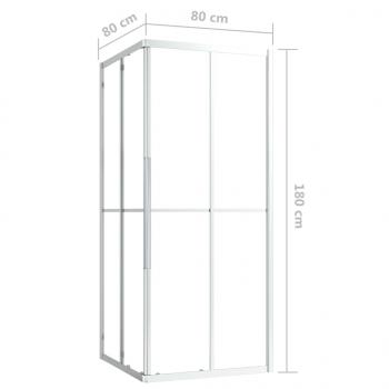 Duschkabine ESG 80x80x180 cm