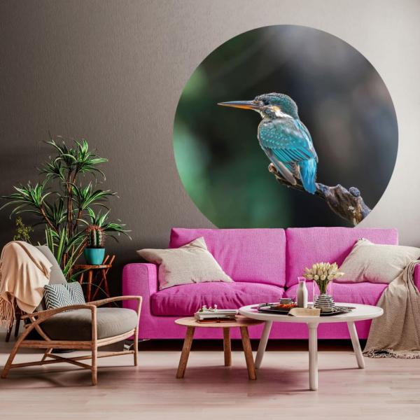 ARDEBO.de - WallArt Fototapete The Kingfisher 142,5 cm