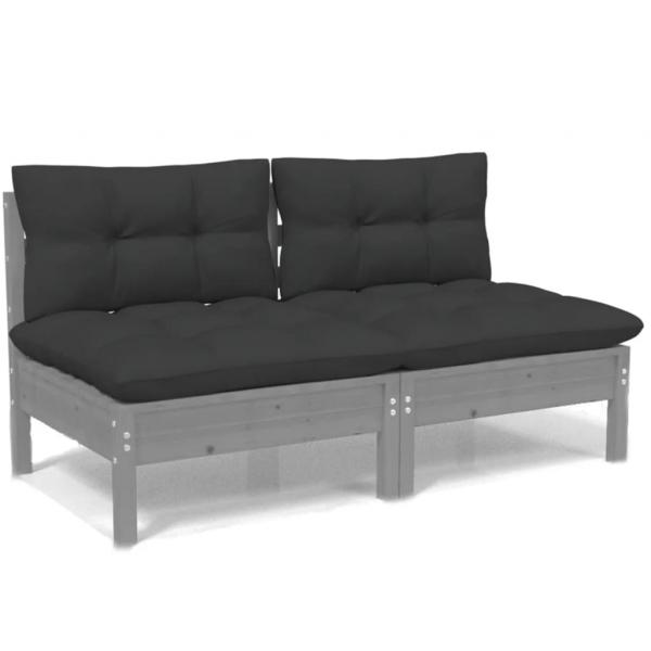 2-Sitzer-Gartensofa mit Anthrazit Kissen Massivholz Kiefer