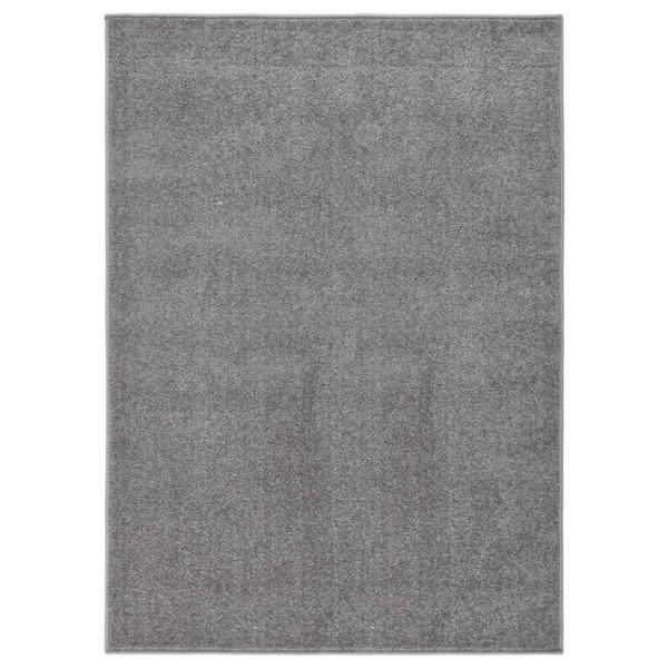 ARDEBO.de - Teppich Kurzflor 120x170 cm Grau