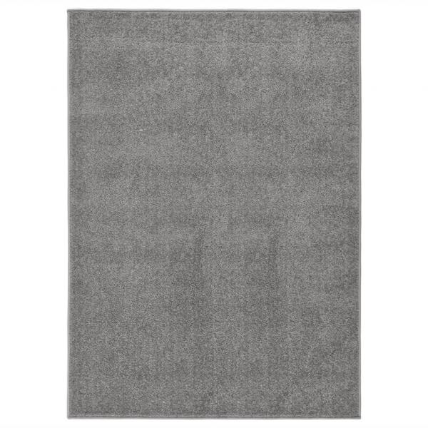 ARDEBO.de - Teppich Kurzflor 140x200 cm Grau