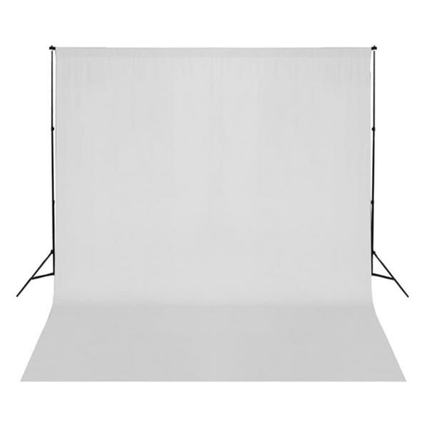 Fotostudio-Set mit Beleuchtung und Hintergrund