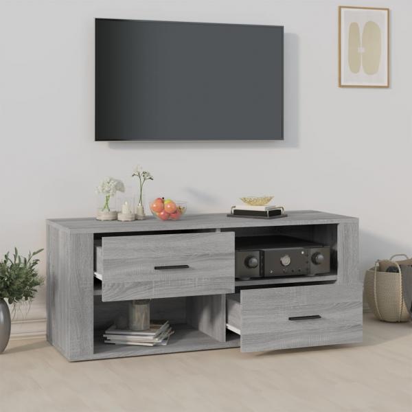 TV-Schrank Grau Sonoma 100x35x40 cm Holzwerkstoff