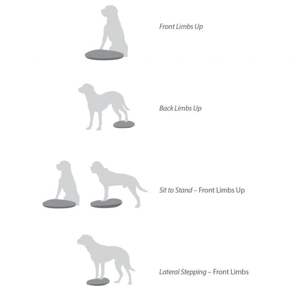 FitPAWS Balance-Scheibe für Haustiere 36 cm Blau