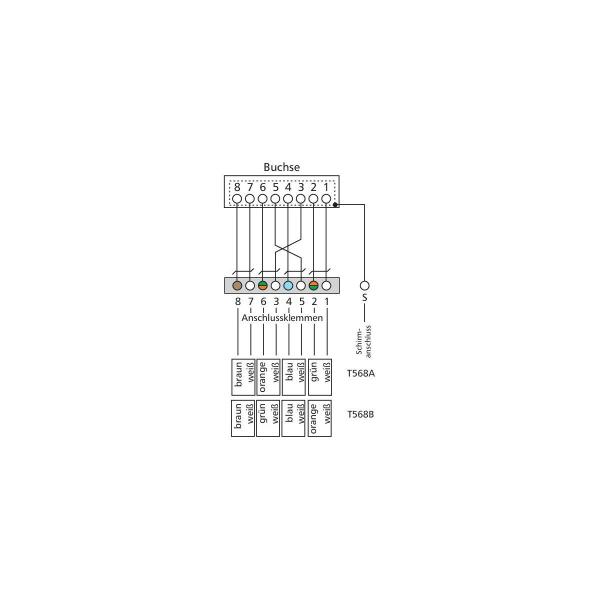 Metz Connect 130862-11-E E-DAT C6 6x8 AP-Verteiler Cat.6, lichtgrau