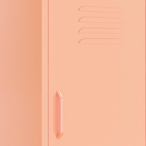 Lagerschrank Rosa 42,5x35x101,5 cm Stahl