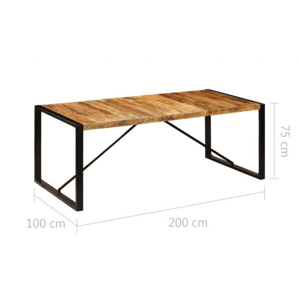 Esstisch 200 x 100 x 75 cm Massivholz Mango