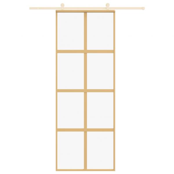 Schiebetür Golden 76x205 cm ESG-Klarglas und Aluminium