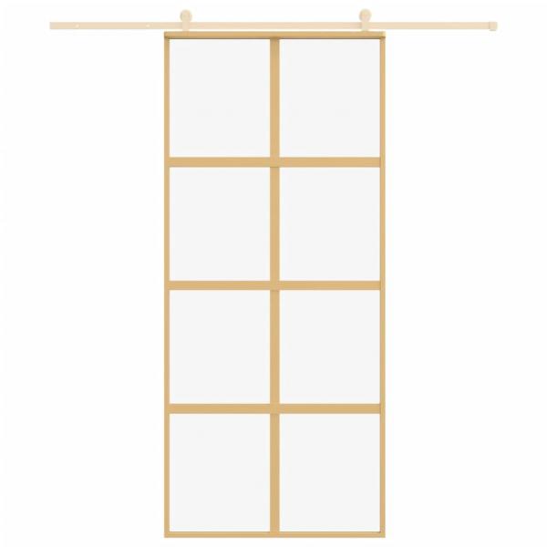 Schiebetür Golden 90x205 cm ESG-Klarglas und Aluminium