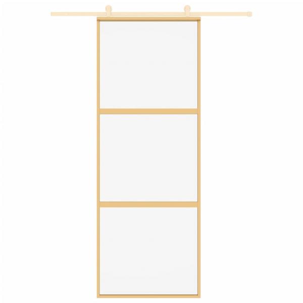 Schiebetür Golden 76x205 cm ESG-Klarglas und Aluminium