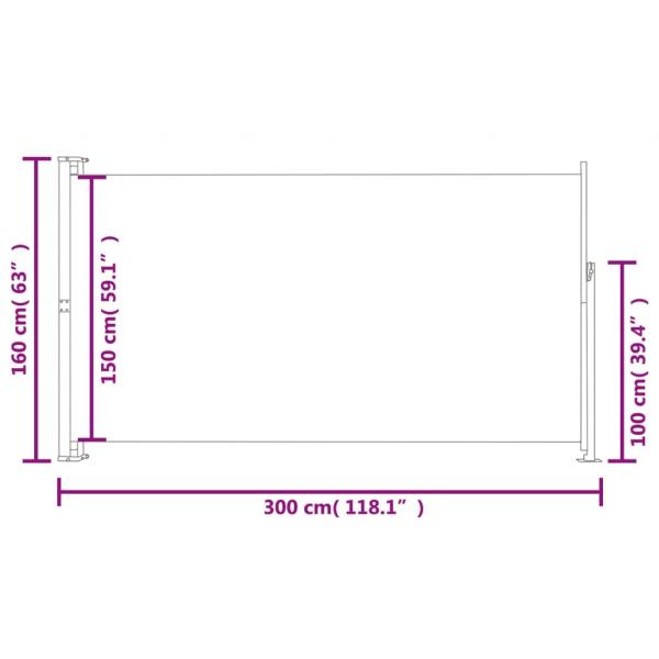 Ausziehbare Seitenmarkise 160x300 cm Grau