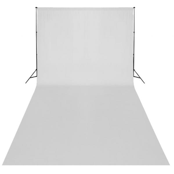 Fotostudio-Set mit Leuchten, Hintergrund und Reflektor