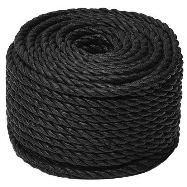 Arbeitsseil Schwarz 10 mm 100 m Polypropylen