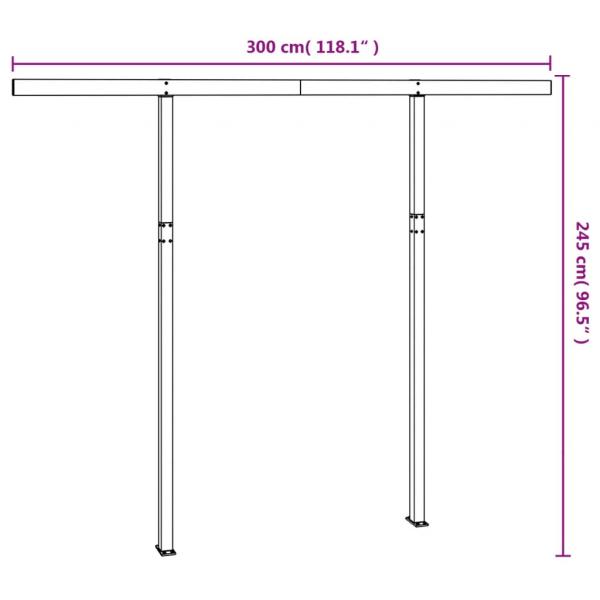 Stützen für Markisen Anthrazit 300x245 cm Eisen 