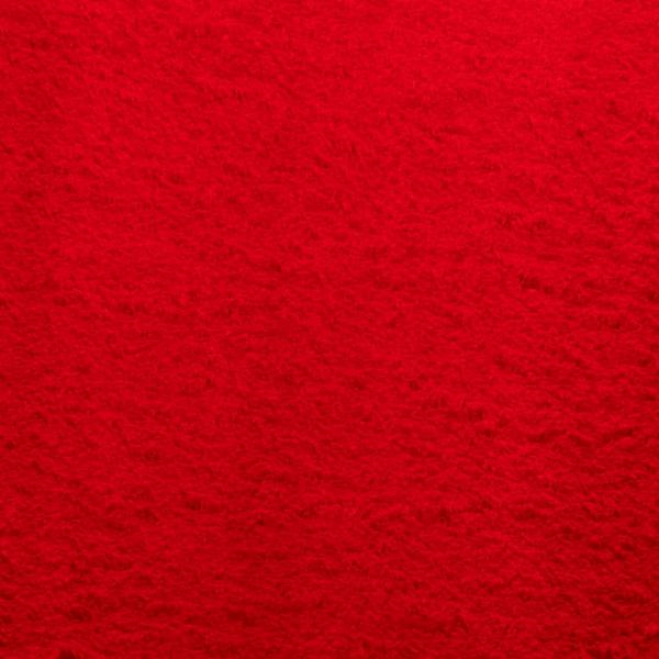 Teppich HUARTE Kurzflor Weich und Waschbar Rot 120x170 cm