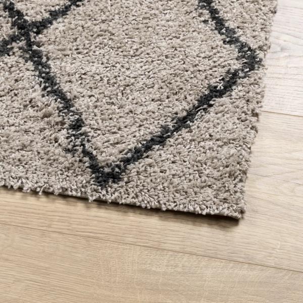 Teppich Shaggy Hochflor Modern Beige und Anthrazit 80x250 cm