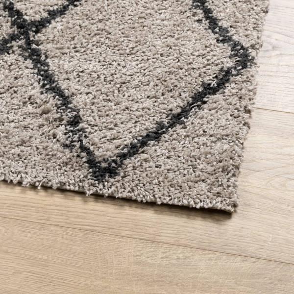 Teppich Shaggy Hochflor Modern Beige und Anthrazit 60x110 cm