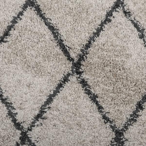 Teppich Shaggy Hochflor Modern Beige und Anthrazit 60x110 cm