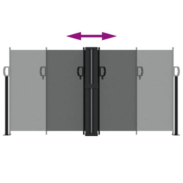 Seitenmarkise Ausziehbar Anthrazit 120x600 cm