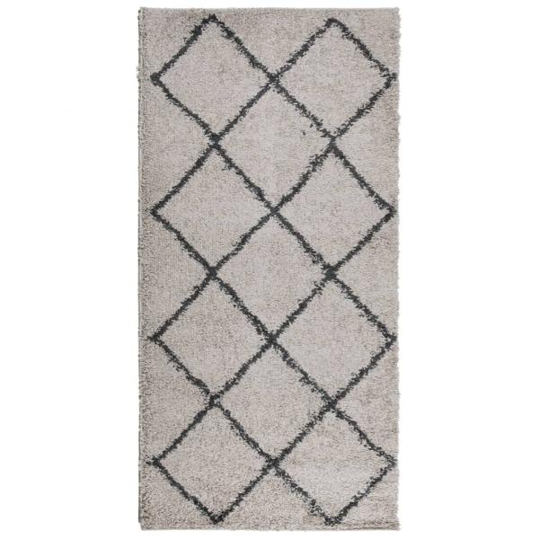 Teppich Shaggy Hochflor Modern Beige und Anthrazit 100x200 cm