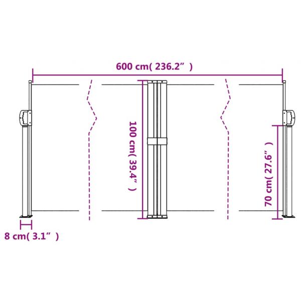 Seitenmarkise Ausziehbar Braun 100x600 cm