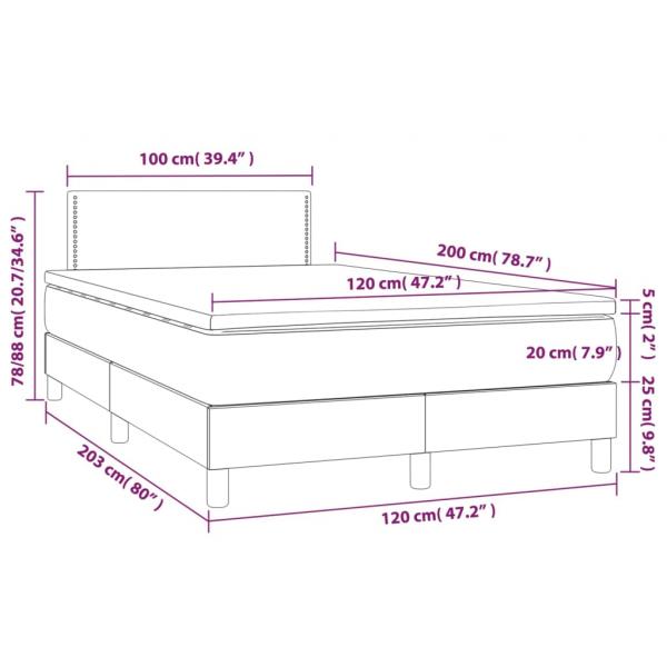 Boxspringbett mit Matratze Hellgrau 120x200 cm Samt