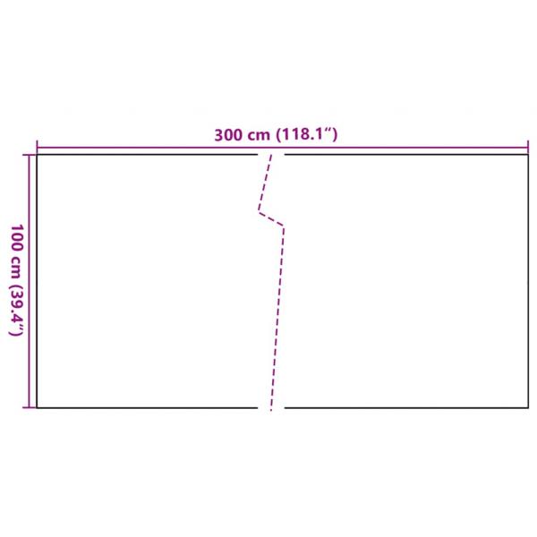 Balkon-Sichtschutz Anthrazit 300x100 cm Poly Rattan