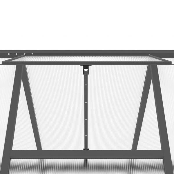 Gewächshaus mit Fundamentrahmen Anthrazit 224x169x202 cm Alu