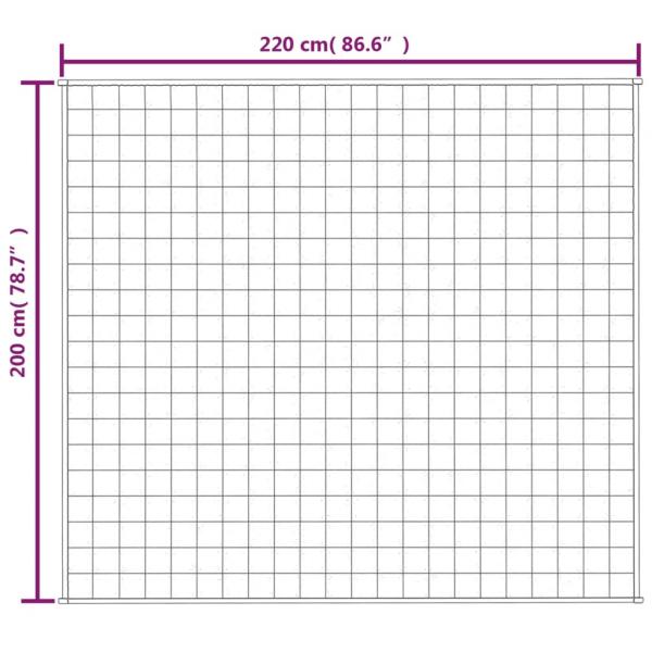 Gewichtsdecke Grau 200x220 cm 13 kg Stoff