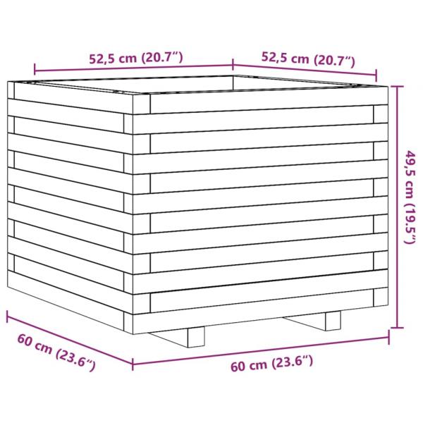 Pflanzkübel 60x60x49,5 cm Massivholz Douglasie