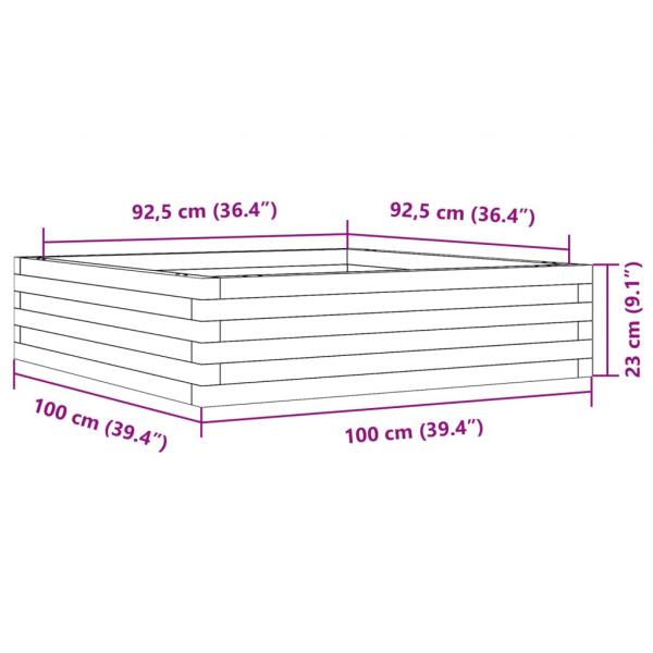 Pflanzkübel 100x100x23 cm Massivholz Douglasie