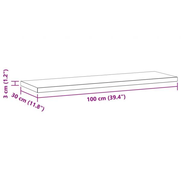 Wandregale 2 Stk. 100x30x3 cm Silbern Edelstahl