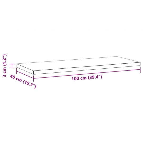 Wandregale 2 Stk. 100x40x3 cm Schwarz Edelstahl