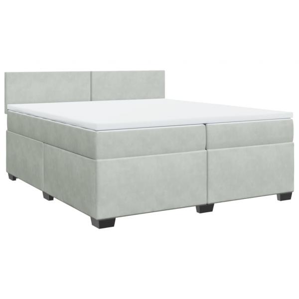 Boxspringbett mit Matratze Hellgrau 200x200 cm Samt