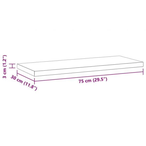 Wandregale 2 Stk. 75x30x3 cm Silbern Edelstahl