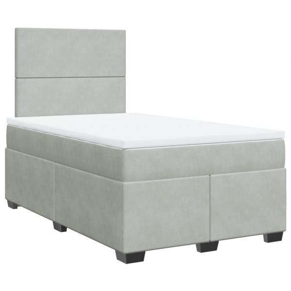 Boxspringbett mit Matratze Hellgrau 120x190 cm Samt