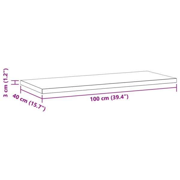 Wandregale 2 Stk. 100x40x3 cm Silbern Edelstahl