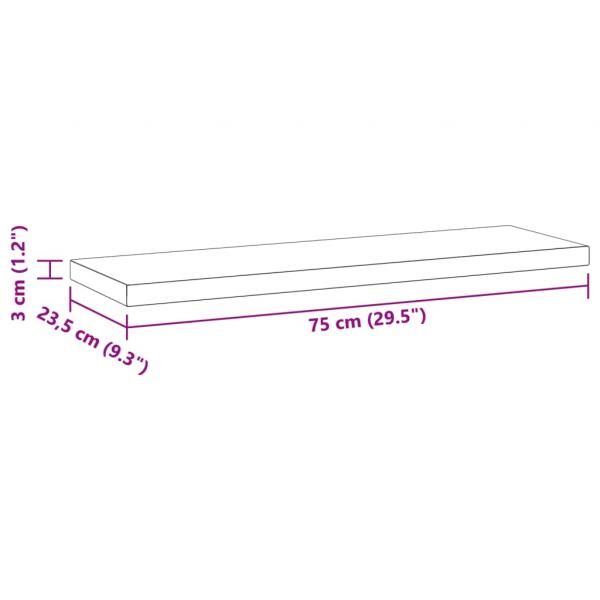 Wandregale 2 Stk. 75x23,5x3 cm Schwarz Edelstahl