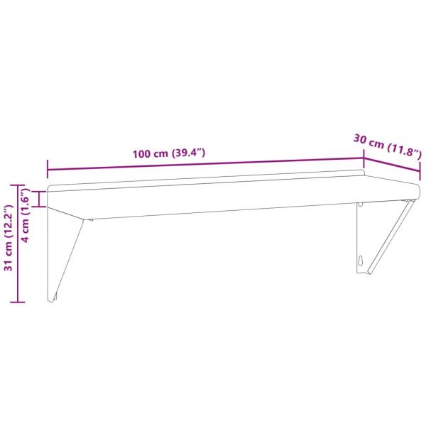 Wandregal 100x30x31 cm Silbern Edelstahl