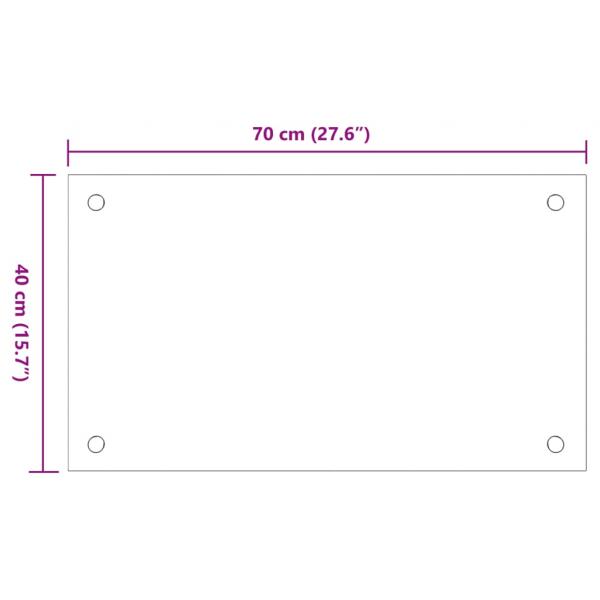 Küchenrückwände 2 Stk. Transparent 70x40 cm Hartglas